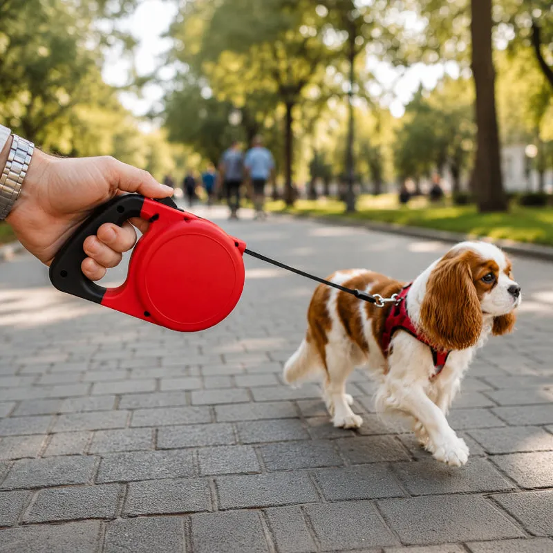 Set 3 Guinzagli Estensibili per Cani con Sistema Retrattile Il Gruppone