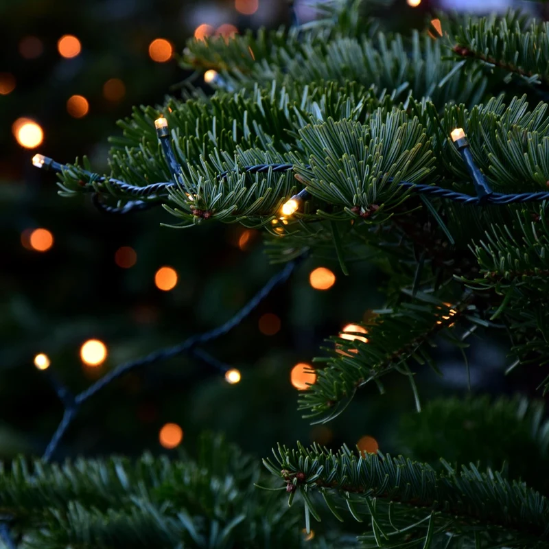 ECD Germany | LED Lichterkette Außen Innen 15 m Warmweiß Weihnachtsbeleuchtung LED Cluster Büschellichterkette Weihnachten wetterfest 750 LED Timer