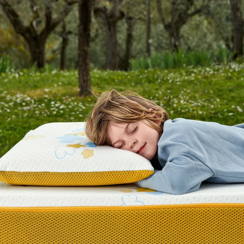 RE:EVOLUTION PILLOW