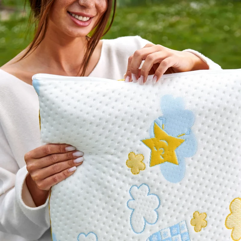 RE:EVOLUTION PILLOW