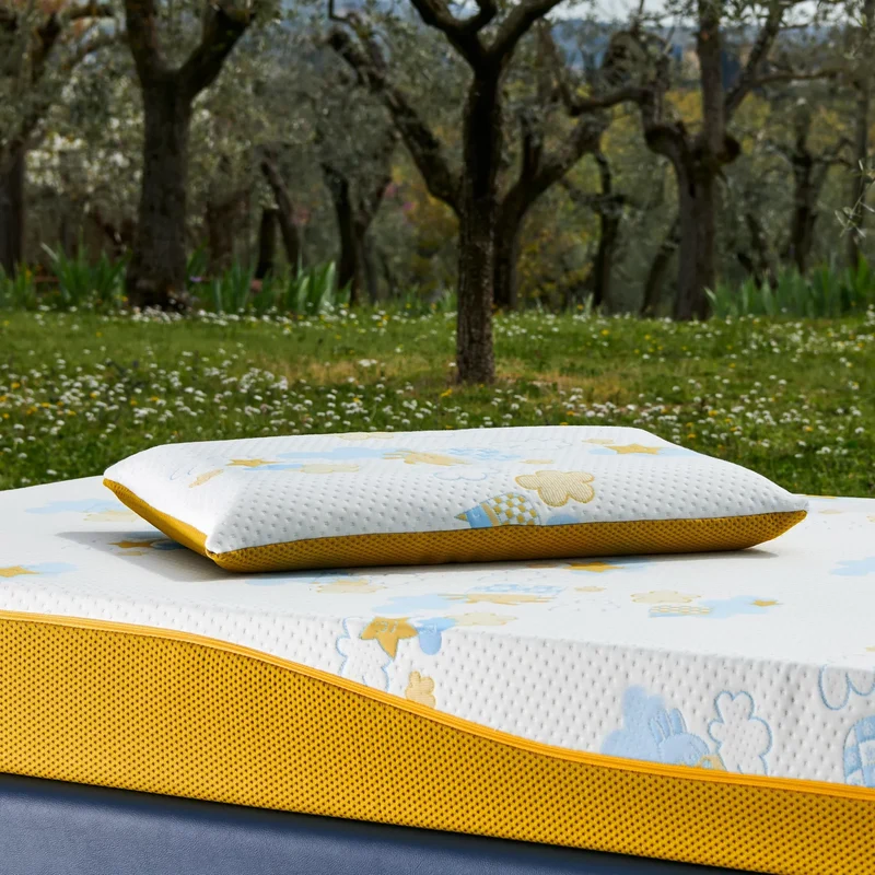 RE:EVOLUTION PILLOW