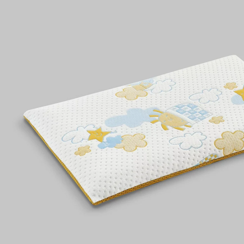 RE:EVOLUTION PILLOW