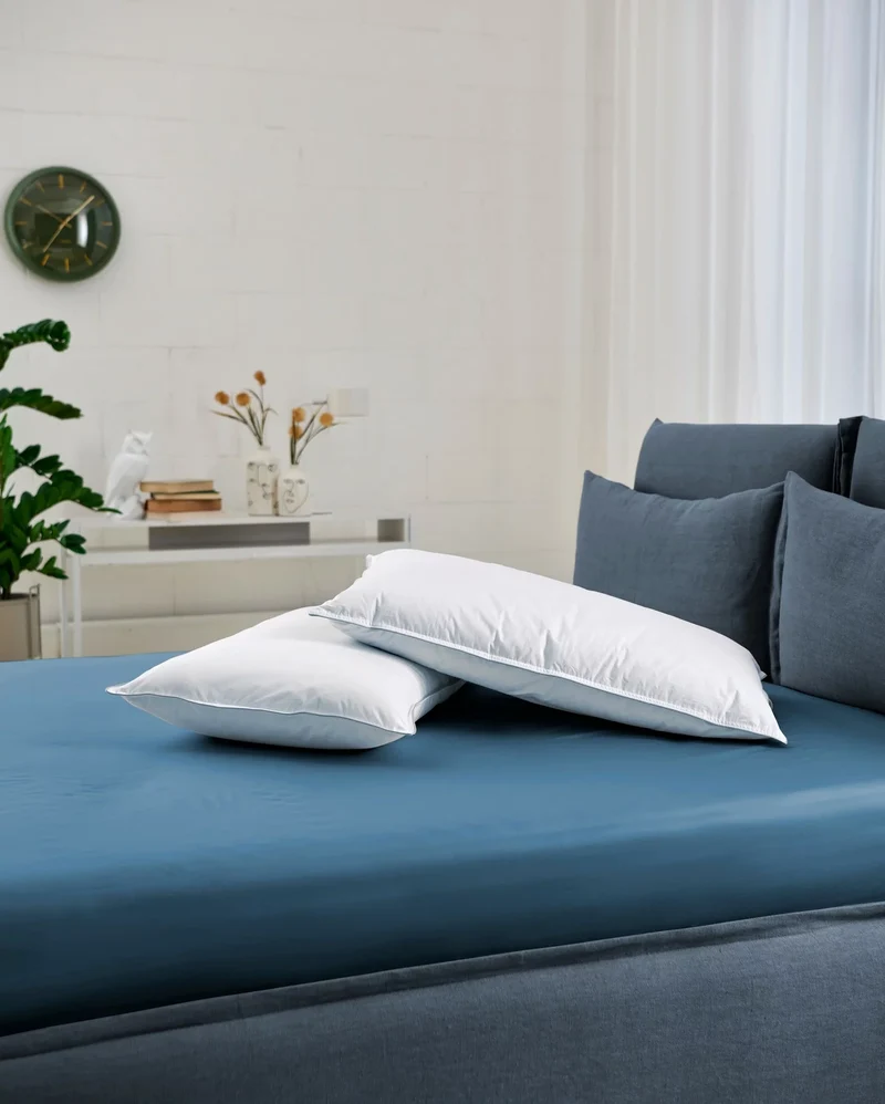 LEEV PILLOW