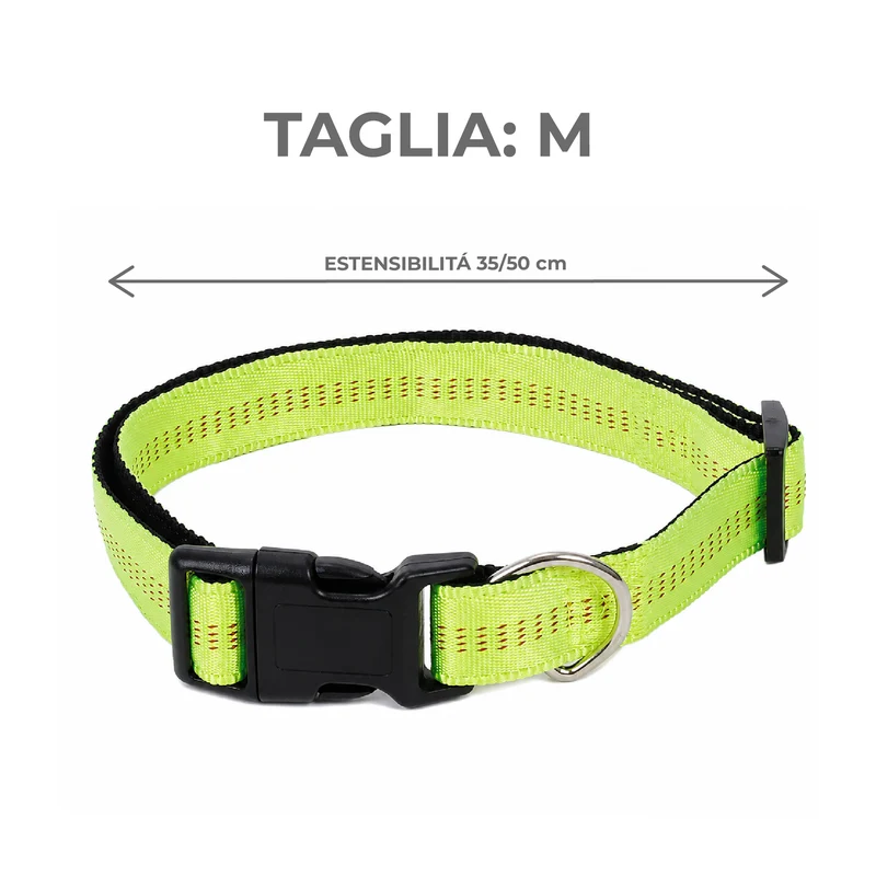 Set 3 Collari per Cani Regolabili Taglia M 35-50 cm Il Gruppone