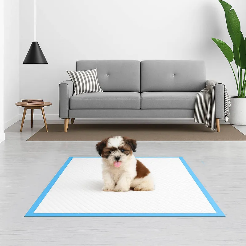 100 Pezzi Tappetini Igienici Assorbenti 60x60 Cm Per Cani e Gatti Il Gruppone