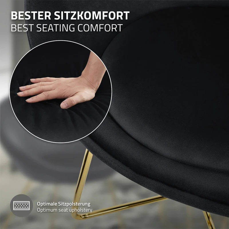Esszimmerstuhl mit runder Rückenlehne Schwarz aus Samt mit goldenen Metallbeinen ML-Design