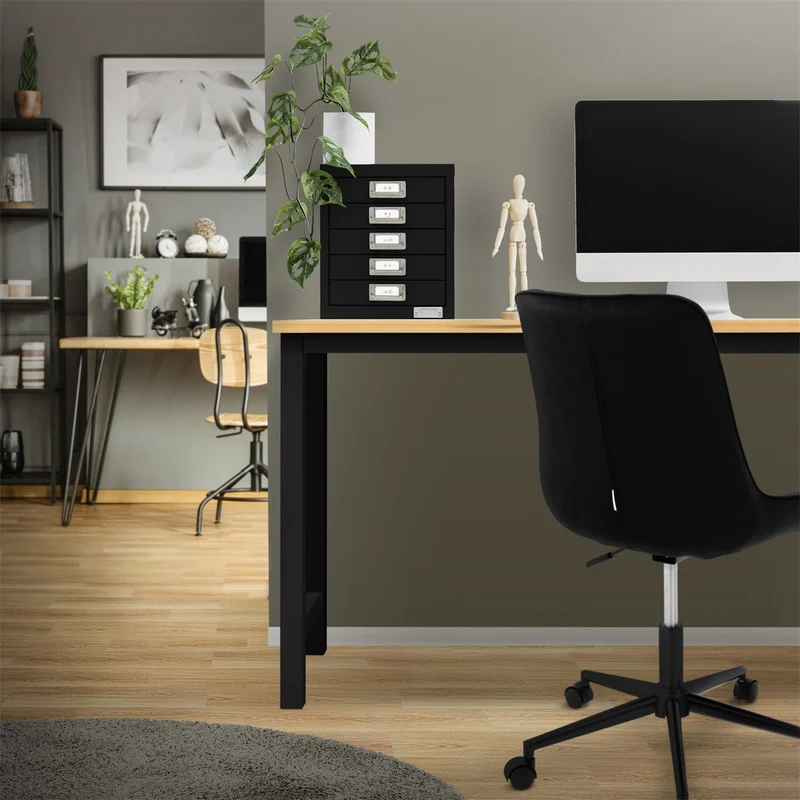 ML-Design | Aktenschrank mit 5 Schubladen 28x38x33 cm aus Metall, Büroschrank mit Etikettenhalter