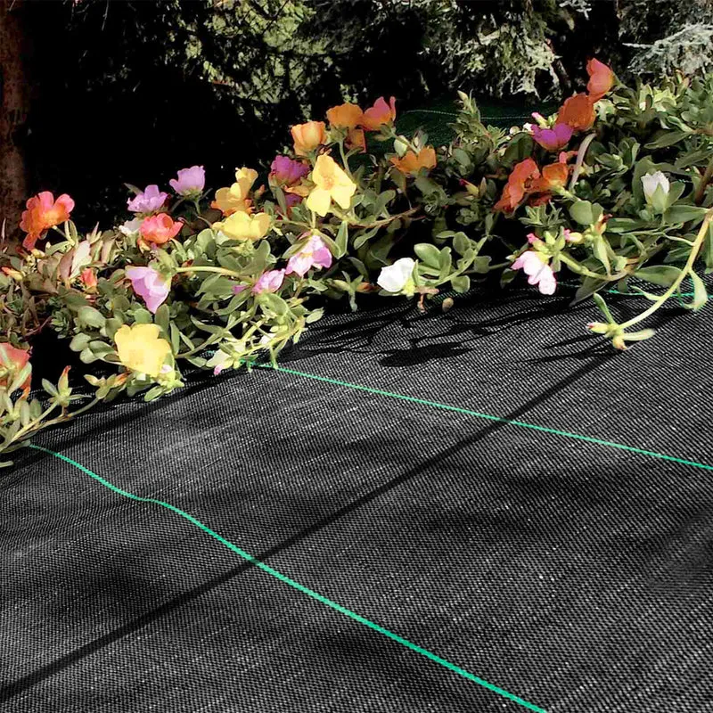 Telo Pacciamatura Super Resistente Antierbacce Antistrappo UV Permeabile Il Gruppone