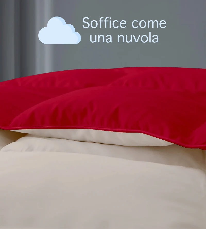 Piumino Invernale Caldo Double Face in Microfibra Anallergica Disponibile in 3 Misure Il Gruppone