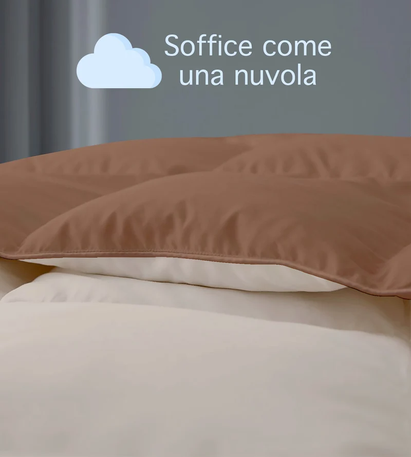 Piumino Invernale Caldo Double Face in Microfibra Anallergica Disponibile in 3 Misure Il Gruppone